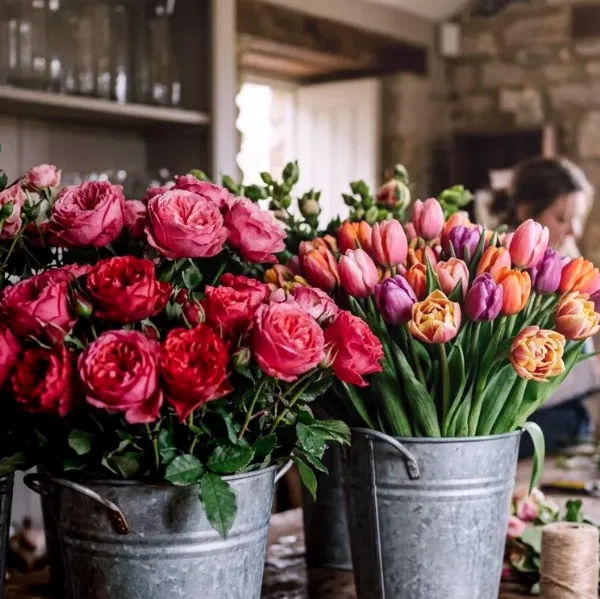 Skein Gust — Tipps für die Pflege Ihrer Arrangements